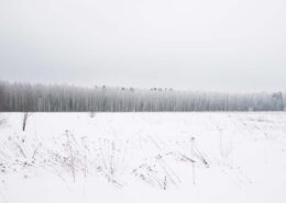 winter landscape - travelling made me a minimalist