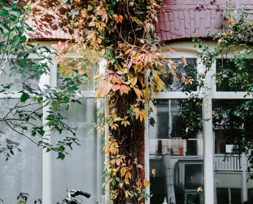 bike, house, leaves - autumn in Amsterdam