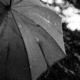 Umbrella and rain - Dutch summer