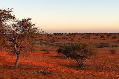 Kalahari Desert