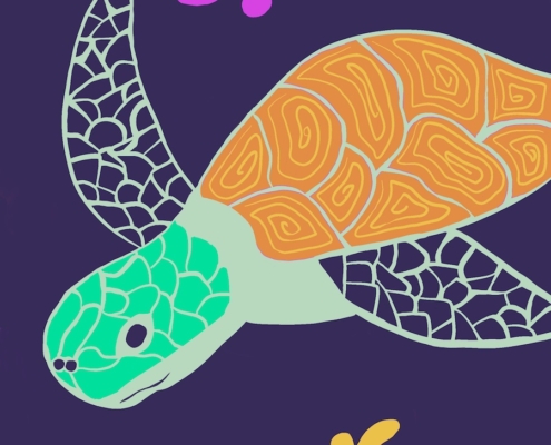 Sea turtle with corals